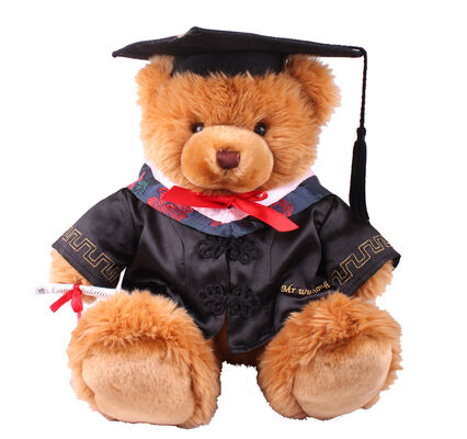 18 Inch Doctor Graduation Teddy Bear Stuffed Soft Plush Toys For Collection Celebration