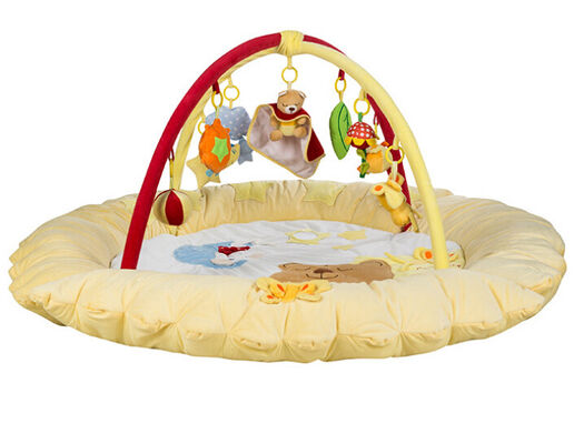 Pink Baby Play Gym and Mat , Baby Growing Baby Musical Play Gym